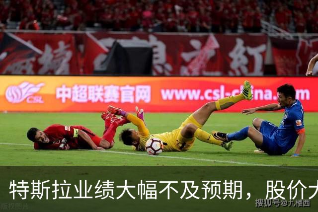 特斯拉业绩大幅不及预期，股价大跌
